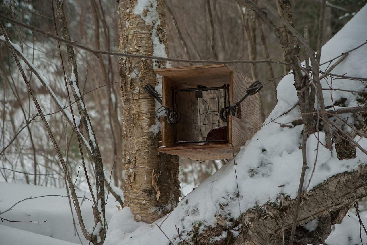Trapping: The Ultimate Guide to All the Types of Hunting Traps